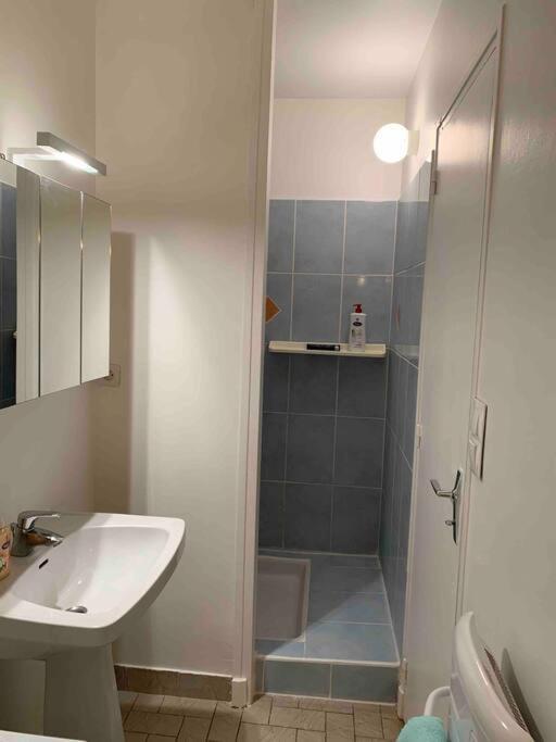 Aubenas Plein Centre Tout Pres Du Chateau エクステリア 写真