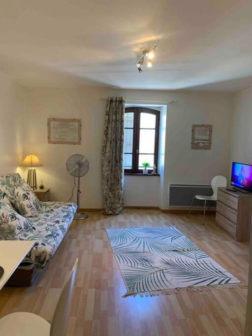 Aubenas Plein Centre Tout Pres Du Chateau エクステリア 写真